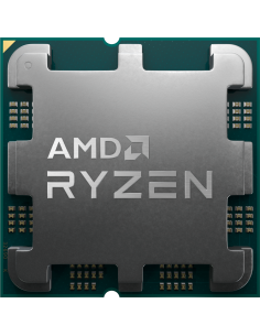 AMD CPU Desktop Ryzen 5... 2